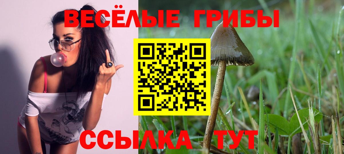 Ивантеевка  Псилоцибиновые грибы Cubensis  дарнет шоп  Вход с VPN 